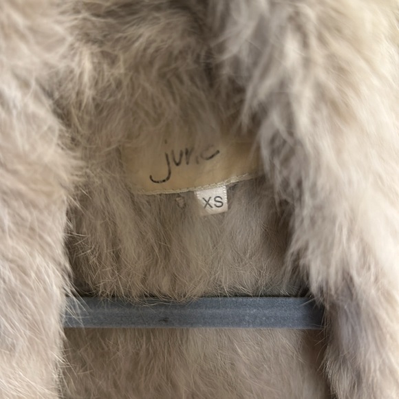 June Rabbit Fur Vest - Nordstrom - Picture 4 of 6
